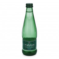 AGUA MINERAL CON GAS ENVASE VIDRIO 300CC PORVENIR