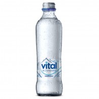 AGUA CON GAS BOTELLA VIDRIO 330 ML