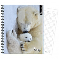 CUADERNO UNIVERSITARIO WILD LIFE 7MM BEAR 100 HOJAS