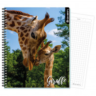 CUADERNO UNIVERSITARIO WILD LIFE 7MM GIRAFFE 100 HOJAS