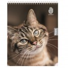 CUADERNO UNIVERSITARIO PARA ZURDOS 7 MM DISEÑOS SURTIDOS 100 HOJAS