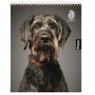 CUADERNO UNIVERSITARIO PARA ZURDOS 7 MM DISEÑOS SURTIDOS 100 HOJAS