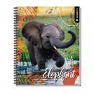 CUADERNO UNIVERSITARIO MATEMATICA 7 MM WILD LIFE 100 HOJAS