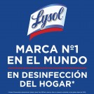 LIMPIADOR PISOS LIMON 5 LT