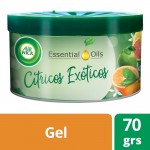 AROMATIZANTE DE AMBIENTES EN GEL CITRUS 70 GR