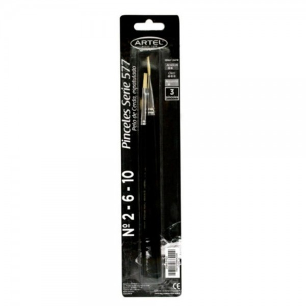SET DE PINCELES 2-6-10 3 UN